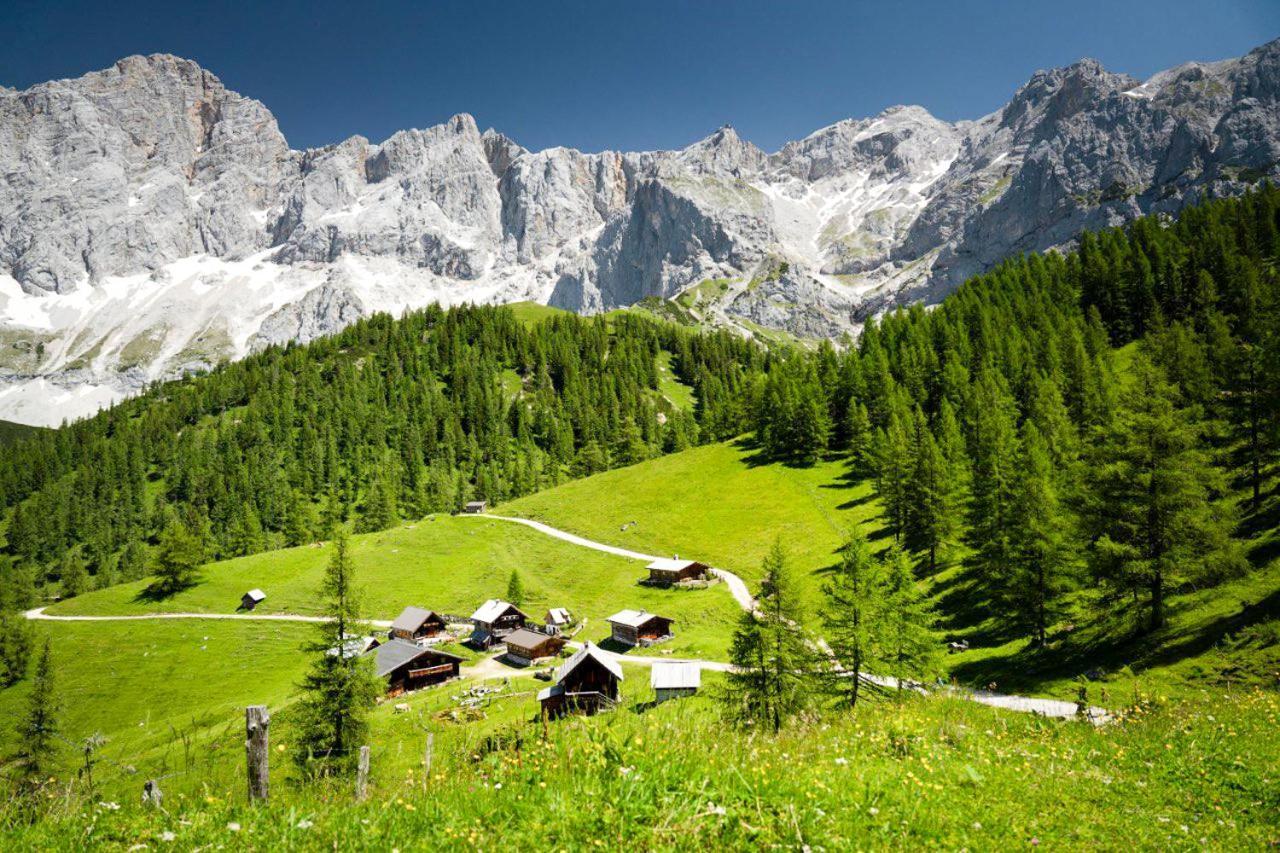 Apartman Ramsau ラムサウ・アム・ダッハシュタイン エクステリア 写真
